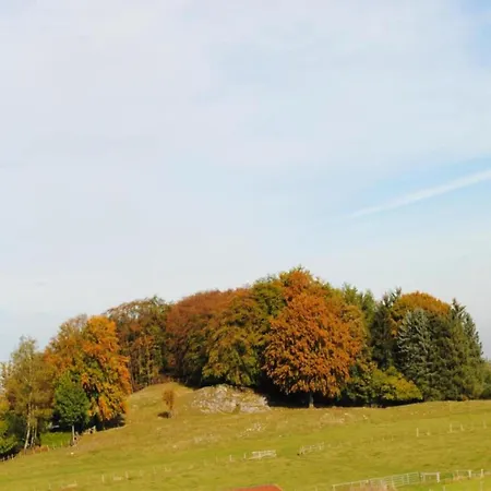 Daire In Nahe Wald, Cleaning Included Madfeld