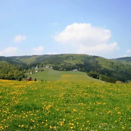 Daire In Nahe Wald, Cleaning Included