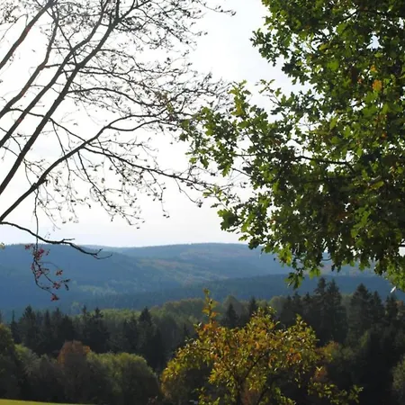 In Nahe Wald, Cleaning Included *