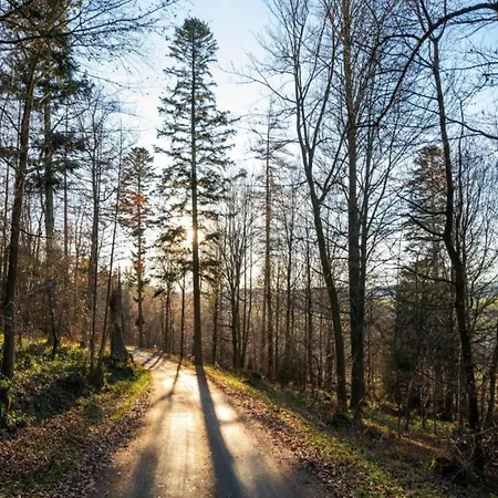 In Nahe Wald, Cleaning Included * Madfeld